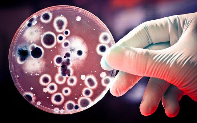 colistin resitance in UK.jpg